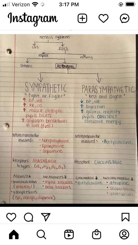 Respiratory Therapy Medications, Nurse Anesthesia Notes, Review Of Systems Nursing, Pharmacology Dental Hygiene, Pharmaceutical Analysis Notes, B Pharmacy Notes 1st Year, Pharmaceutics Notes, Cholinergic Agonists, Pharmacology Nursing Study Notes