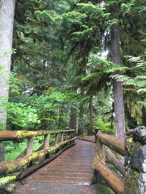 Footbridge near Sahalie Falls, Eugene, Oregon Tenda Camping, Explore Oregon, Oregon Hikes, Oregon Vacation, Oregon Road Trip, Oregon Trail, Eugene Oregon, Oregon Travel, Future Travel