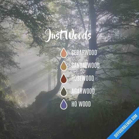 Just Woods — Essential Oil Diffuser Blend Agarwood Essential Oil Blends, Making Medicine, Scent Combinations, Magick Oil, Top Essential Oils, Essential Oils For Babies, Essential Oil Combinations, Aromatherapy Recipes, Essential Oil Diffuser Blends Recipes