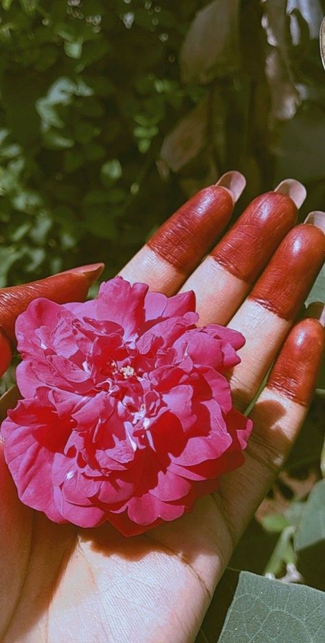 Girls Hands Dpz, Imagine Videos, Bramha Ji, Calling Phone, Aesthetic Dpz, Cut Pic, Rose In Hand, शादी की तस्वीरें, Hands Holding Flowers