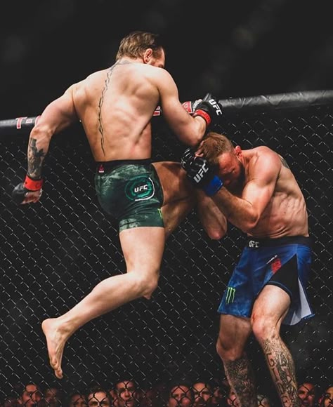 Ufc Wallpapers, Mma Poster, Notorious Mcgregor, Martial Arts Photography, Gym Things, Connor Mcgregor, Combat Skills, Drip Fashion, Legendary Pictures