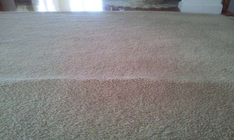 Want to know how to get wrinkles out of carpet without a stretcher? Check out the mentioned ways to get rid of wrinkles easily from carpet. Carpet Wrinkles, Carpet Texture Pattern, Types Of Hardwood Floors, Rug Over Carpet, Carpet Smell, Get Rid Of Wrinkles, Bubble Wall, Carpet Cover, Carpet Texture