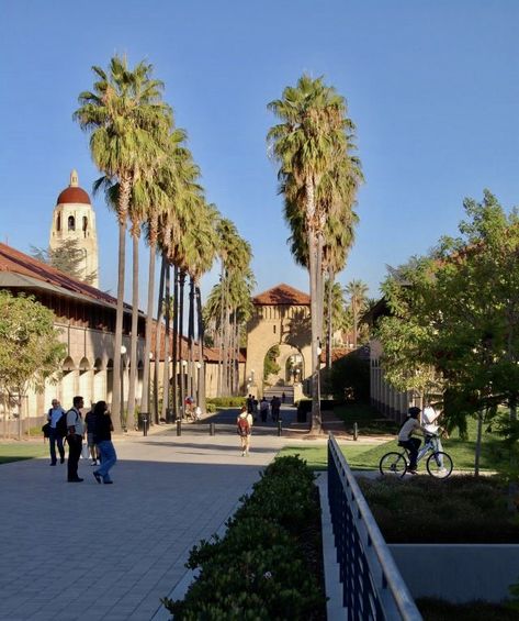 Stanford Law School Aesthetic, Stanford Motivation, Stanford University Aesthetic, Stanford Aesthetic, Stanford University Campus, Stanford Campus, Stanford College, University Inspiration, Stanford Law