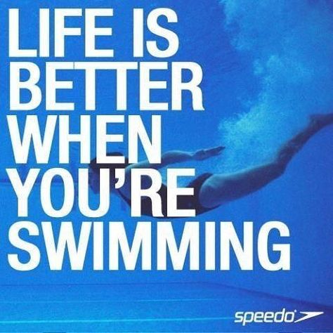 #swimming #swimlife #liveloveswim #swimteam #swimanddive Swimming Motivation, Swimming Memes, I Love Swimming, Swimmers Life, Swim Life, Swimming Quotes, Swim Mom, Synchronized Swimming, Competitive Swimming