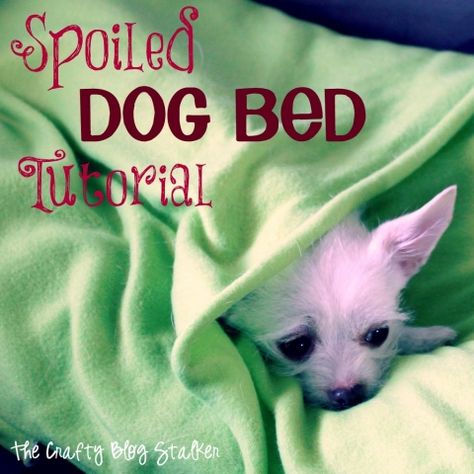 Spoil your dog. Make a comfy spoiled dog bed. Super simple to make, just follow this do it yourself tutorial and your pooch will be dreaming in no time. Diy Dog Shampoo, Bed Tutorial, Fleece Dog Bed, Spoiled Dog, Make A Blanket, Diy Pet Bed, Dog Tent, Spoiled Dogs, Diy Dog Bed