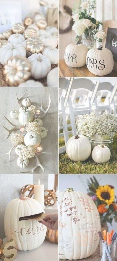 53 new ideas for wedding centerpieces fall flowers white pumpkins Pumpkin Wedding Centerpieces, White Pumpkin Wedding, Wedding Centerpieces Fall, White Pumpkins Wedding, Pumpkins Wedding, Pumpkin Centerpieces Wedding, Blush Fall Wedding, White Pumpkin Centerpieces, Themed Wedding Decorations