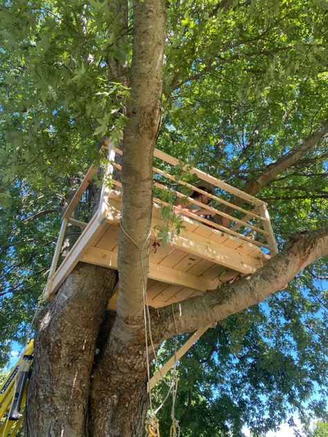 Cute Treehouse, Aesthetic Tree House, Treehouse Hangout, Tree House Vibes, Awesome Tree Houses, Tree House Aesthetic, Aesthetic Treehouse, Carpentry Aesthetic, Treehouse Simple