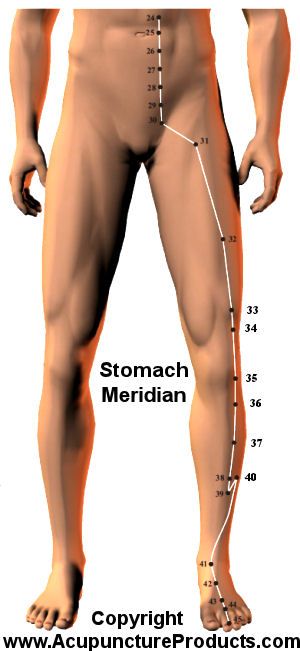 Stomach Meridian, Meridian Acupuncture, Tcm Traditional Chinese Medicine, Yin Yoga Poses, Meridian Massage, Reflexology Massage, Acupuncture Points, Acupressure Points, Naturopathy