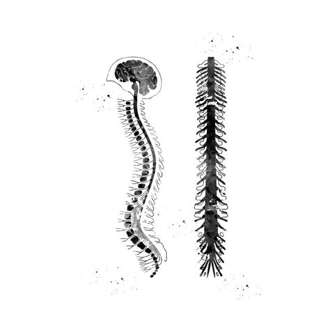 Spinal Cord, Brain, Abstract Artwork, Tshirt Designs, Black And White, T Shirts, Quick Saves, White, Black