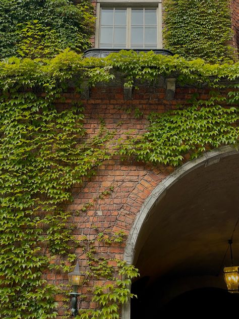 Ivy On Brick House, Ivy On Brick Wall, Town Hall Aesthetic, Brick House Aesthetic, Red Brick Aesthetic, Abandoned Building Aesthetic, Old University Building, Brick Wall Aesthetic, Vintage College Aesthetic