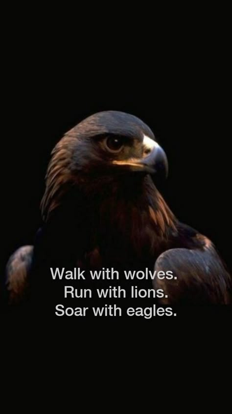 Eagle Attitude Quotes, Eagle Quotes Inspiration, Eagle Mindset, Eagle Motivation, Eagle Mentality, Eagle Pic, Lawyer House, Prove Them Wrong Quotes, Eagle Quotes