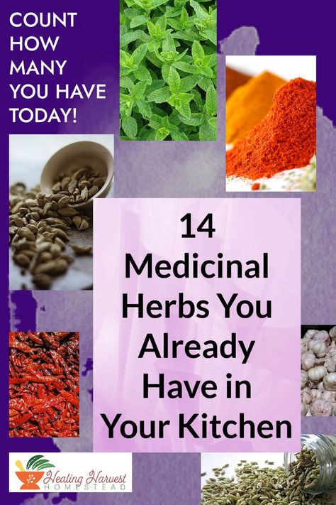 I was shocked when I discovered all the medicinal properties of the spices in my kitchen. They can do everything from reducing inflammation, improving general wellness, settling an upset stomach and providing mild sedation. Learn how the kitchen spices you already have can support your wellness today! #letfoodbethymedicine #kitchenapothecary #herbalism #kitchenpharmacy #spices Healing Herbs And Spices, Healing Herbs Medicine Natural Remedies, Holistic Herbs Herbal Medicine, Herbs With Antibiotic Properties, Cooking Spices, Tea Blends Recipes, Encyclopedia Of Herbal Medicine, Cold Medicine, Reducing Inflammation