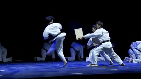 Martial Arts Gif, Taekwondo, Karate, Martial Arts, Gif, Fictional Characters