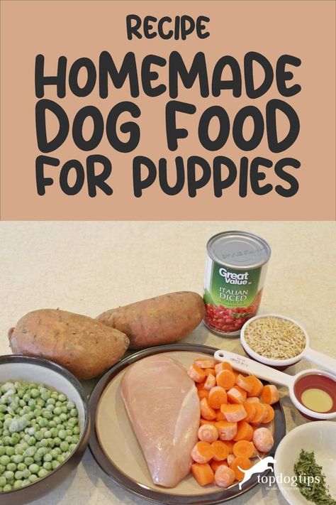 Homemade Dog Food for Puppies Recipe Homemade Dog Food Grain Free, Feeding Puppies, Food For Puppies, Dog Food Recipes Crockpot, Foods Dogs Can Eat, Dog Food Recipe, Easy Dog Treat Recipes, Dog Treats Homemade Easy, Diy Dog Food