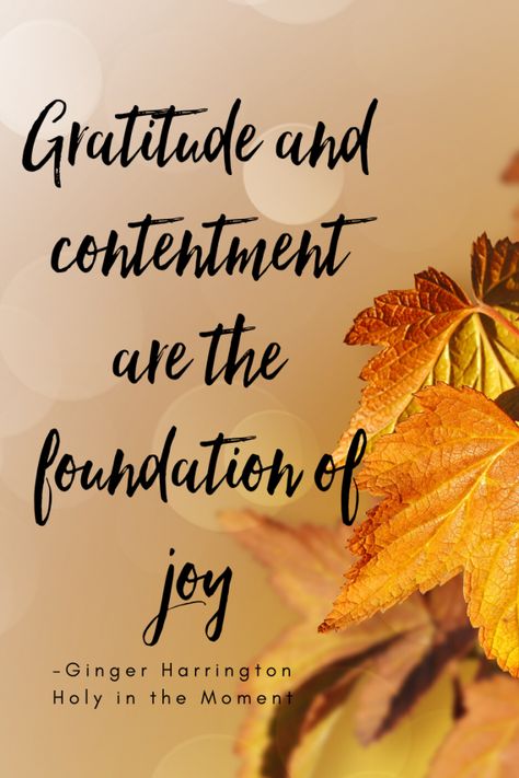 Gratitude, contentment, and joy are some of life’s sweetest blessings. Where we find one, we often experience the others as well. A grateful life is also a joyful life. What fills you with joy today? Gratitude Matters: 10 Truths and Tips for a Grateful Life | Ginger Harrington Gratitude Quotes Bible, Gratitude Quotes Inspiration, Gratitude Quotes Thankful, Contentment Quotes, Grace Quotes, Grateful Quotes, Pray Continually, Biblical Truths, Joy Quotes