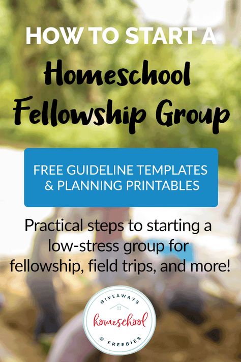 How to Start a Homeschool Fellowship Group + FREE Planning Templates & Guidelines - Homeschool Giveaways Homeschool Group Activities, Free Bible Printables, Homeschool Coop, Relaxed Homeschooling, Guideline Template, Homeschool Freebies, Free Giveaways, Free Preschool Printables, Bible Printables