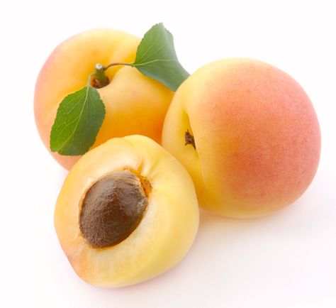 The Anatomy Of A Stone Fruit - The Produce Mom Apricot Chicken, Fragrance Oil Blends, Yogurt Shop, Apricot Seeds, Cholesterol Lowering Foods, Fast Growing Trees, Apricot Kernels, Teacher Student, Stone Fruit