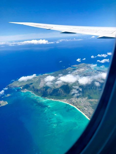 Hula Pie, Diving With Sharks, Shark Cage Diving, Shark Cage, Hanauma Bay, Shopping Food, Waikiki Beach, Oahu Hawaii, Honolulu