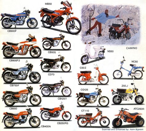 Honda Bikes 1982 https://plus.google.com/+JohnPruittMotorCompanyMurrayville/posts Honda Street Bikes, Honda Cafe Racer, Honda Bike, Motorcycle Ads, Cb 450, Honda Cub, Honda Bikes, Cars Bikes, Motorcycle Pictures