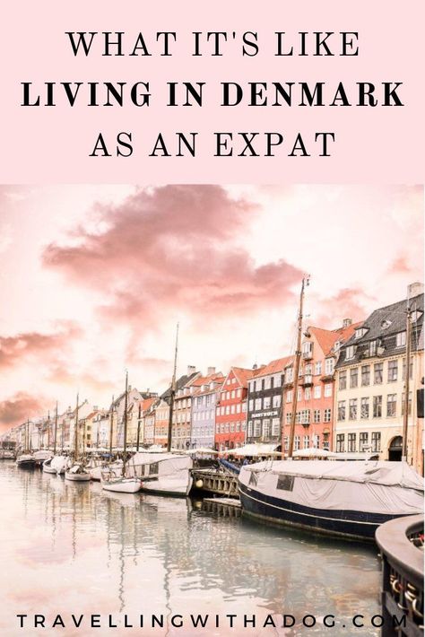 Move To Europe, Denmark Travel Guide, Moving To Europe, Copenhagen Travel, Moving Overseas, Denmark Travel, Moving Abroad, Scandinavian Countries, Best Travel Accessories