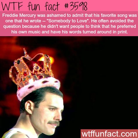 WTF Facts : funny, interesting & weird facts Freddie Mercury Facts, Mercury Facts, Queen Facts, Freddie Mercury Quotes, What The Fact, Freddy Mercury, We Will Rock You, Favourite Song, Facts Funny