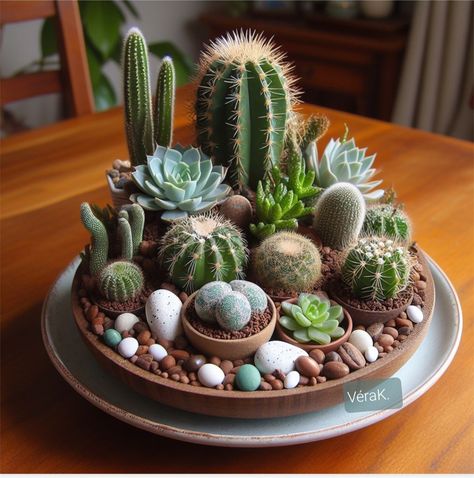 Cacti Pot Ideas, Cacti Garden Ideas, Pots Ideas For Plants, Indoor Cactus Garden Ideas, Cactus Succulent Arrangement, Terarium Kaktus Succulents Garden, Cactus Arrangements Ideas, Cactus Garden Indoor, Terrarios Suculentas Ideas