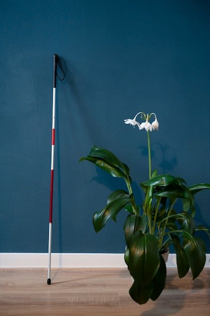 Walking stick used by a blind person by ... | Free Photo #Freepik #freephoto #blind #blind-person #indoor-plants #lifestyle Blind Stick Design, Blind Person Aesthetic, Hanna Aesthetic, Blind Aesthetic, Blind Walking Stick, Moodboard Portfolio, Blind Person, Oc Aesthetic, Yoga Outdoor