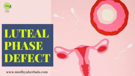 Luteal Phase Defect, Short Luteal Phase, Luteal Phase, Progesterone Levels, Fertility Problems, How To Regulate Hormones, Improve Fertility, Chances Of Getting Pregnant, Fertility Boost