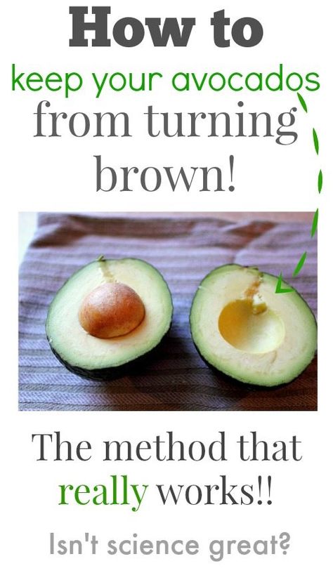 Brown avocados are a thing of the past! Here's the trick that REALLY works to keep them fresh and green for longer! Avocado Storage, Avocado Pit, Avocado Dessert, Avocado Health Benefits, How To Cut Avocado, Breakfast And Brunch, Avocado Recipes, Healthy Nutrition, Baking Tips