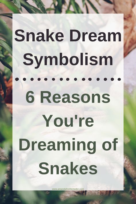 Goddess Of Snakes, Snake Familiar, Snake Dream Meaning, Dream Definition, Dream Symbolism, Snake Meaning, Snake Symbolism, Home Meaning, Dream Snake