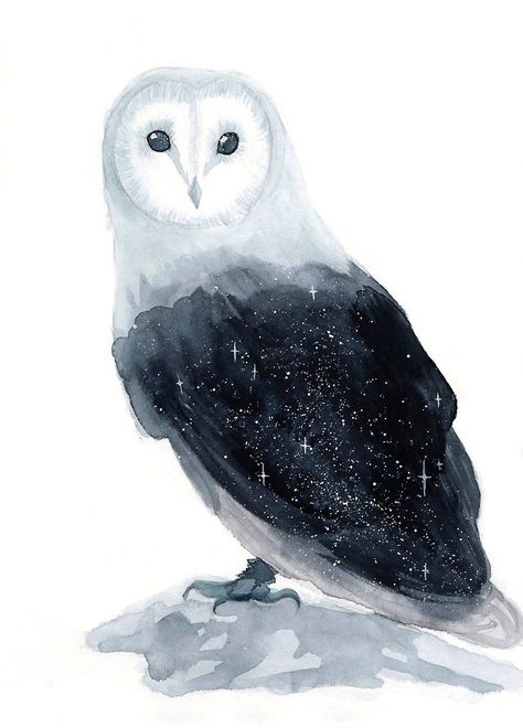 Owl Fantasy Art, Spirit Animal Art, Fantasy Creatures Art, Mythical Creatures Art, Daiquiri, Owl Art, Arte Animal, Arte Fantasy, Watercolor Animals