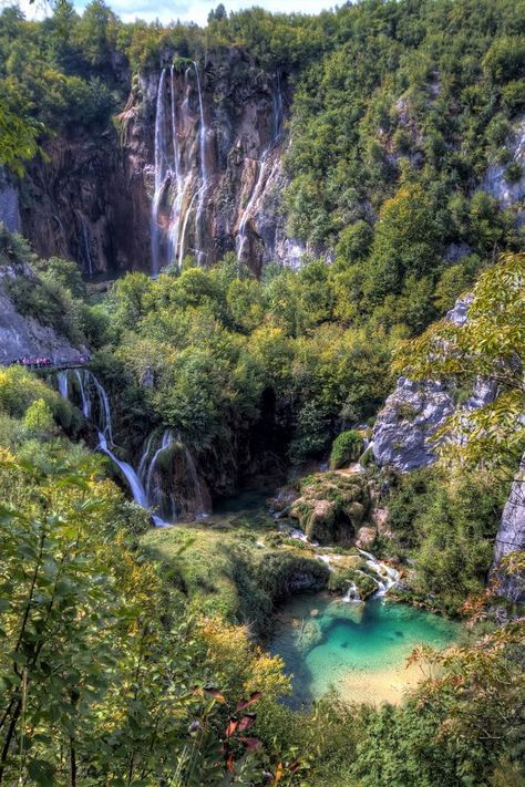 Forest Posters, Plitvice National Park, Magic Places, Havasu Falls, Plitvice Lakes National Park, Paintings Wall, Plitvice Lakes, Croatia Travel, Zadar