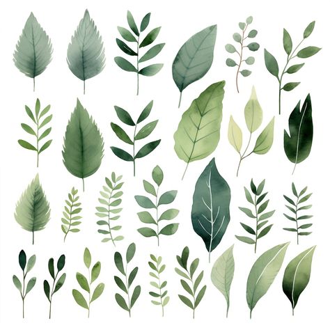 Background Leaf, Watercolor Foliage, Leaves Clipart, Beautiful Tattoos For Women, Leaf Clipart, Watercolor Greenery, Elegant Tattoos, Watercolor Leaves, Vibrant Green