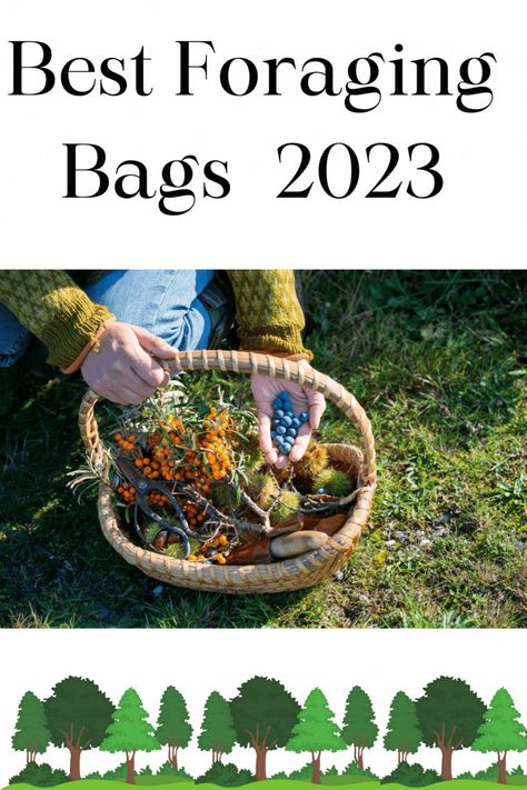 Best Foraging Bags 2023 Diy Foraging Bag, Foraging Bag, Urban Foraging, Sustainable Homestead, Homestead Ideas, Harvest Basket, Shop Apron, Fruit Picking, Berry Baskets