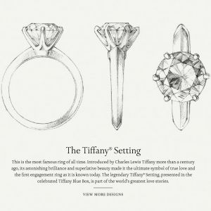 The original Tiffany knife edge solitaire engagement ring designed by Charles Lewis Tiffany Tiffany Setting Ring, Tiffany Solitaire Ring, Tiffany Setting Engagement Ring, Tiffany Solitaire, Knife Edge Ring, Tiffany Setting, Tiffany Engagement Ring, Tiffany Rings, Solitaire Ring Set