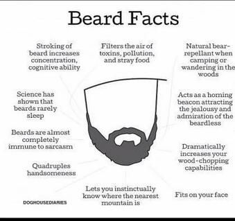 Beard Facts, Beard Rules, Lovely Sunday, Facts Funny, Big Beards, Great Beards, Beard Love, Awesome Beards, Beard Growth