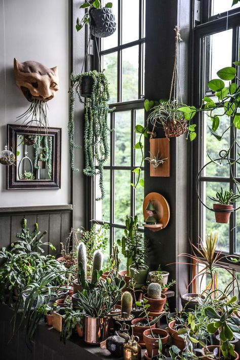 Inside Filmmaker and Producer Hilton Carter’s Plant-Filled Home - Coveteur: Inside Closets, Fashion, Beauty, Health, and Travel House Plants Decor Living Room, Garden Room Ideas, Good Reads, Spooky Home, Bohemian Modern Style, Green Inspiration, Boho Garden, Plant Problems, Tiny Plants