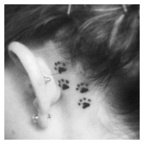 my tattoo! pawprints behind the ear. ❤ liked on Polyvore featuring accessories Pawprint Tattoos, Cat Tatoos, August Tattoo, Ear Tats, Paw Tattoos, Tattoos Fonts, Pug Tattoo, Dog Paw Tattoo, Tattoo Dog