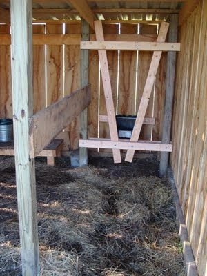 Milk Stanchion, Dexter Cattle, Cow Tipping, Miniature Cows, Homesteading Animals, Cow Shed, Cow House, Mini Cows, Farm Plans