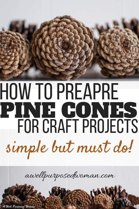 Pine Cone Christmas Decorations, Pinecone Crafts Kids, Cones Diy, Pinecone Crafts Christmas, Painted Pinecones, Pine Cone Art, Diy Pinecone, Pine Cone Decorations, Cones Crafts