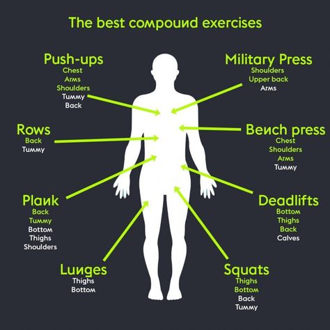 What are opposing muscle groups? Largest Muscle Groups, Main Muscle Groups, Opposing Muscle Groups Workout, Muscle Groups To Workout, Push Pull Workout, The Agonist, Compound Lifts, Fitness Boxing, Sports Therapy