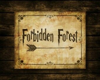 Go to the Forbidden Forest Forbidden Forest Harry Potter, Harry Potter Halloween Party, Harry Potter Etsy, Harry Potter Bday, Hogwarts Christmas, Forbidden Forest, Forest Party, Harry Potter Birthday Party, Harry Potter Wedding