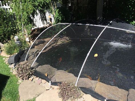 Pond Covering Ideas, Above Ground Pond, Fish Ponds Backyard, Raised Pond, Pond Covers, Building A Pond, Pond Ideas, Pond Liner, Pond Pumps