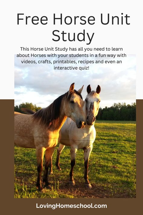 This Horse Unit Study has all you need to learn about Horses with your students in a fun way with videos, crafts, printables, recipes and even an interactive quiz! Horse Study, Homeschooling Tips, Homeschool Projects, Memory Match Game, Free Horses, Horse Crafts, Most Beautiful Horses, Animal Groups, Preschool Science