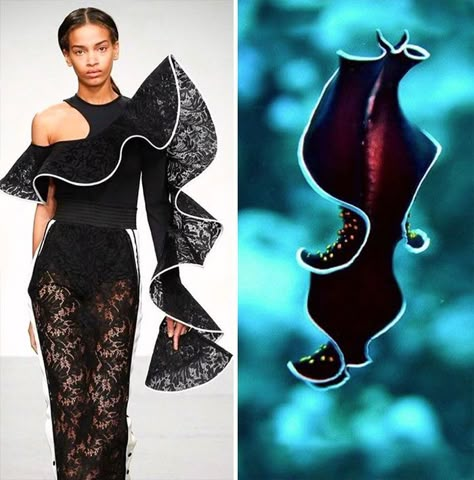 Fashion And Nature Fish Inspired Fashion, Fashion Design Inspiration Board, Mood Board Fashion Inspiration, Fish Fashion, Nature Inspired Fashion, Inspiration From Nature, Nice Fashion, Fashion Themes, Fashion Figures