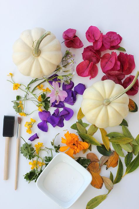 Decoupage Foraged Flower Pumpkins | alice & lois Hodge Podge Flower Pumpkins, Flower Petal Pumpkin, White Pumpkin Dried Flowers, Flower Pumpkins Painting, Decorating Pumpkins With Dried Flowers, Flower Press Pumpkin, Pumpkin And Petals, Mod Podge Pumpkins With Flowers, Pumpkin Modge Podge Flowers