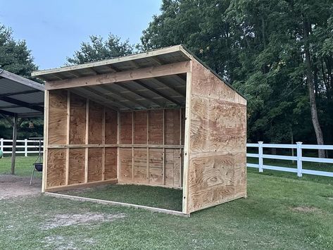 Diy Horse Shelter, Horse Stalls Diy, Diy Shelter, Pasture Shelter, Livestock Shelter, Goat Shelter, Homesteading Animals, Small Barns, Lumber Yard