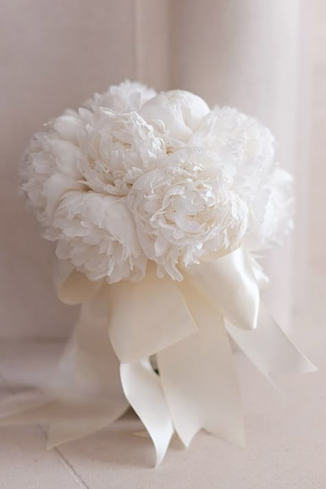 Trending Bridal Bouquets 2023, Soft Wedding Bouquets, Bridal Bouquet Aesthetic, Bride’s Bouquet, Simple Elegant Bouquet, Bride Flower Bouquet Elegant, White Wedding Bouquets Elegant, White Bride Bouquets, Bride Bouquets White Elegant