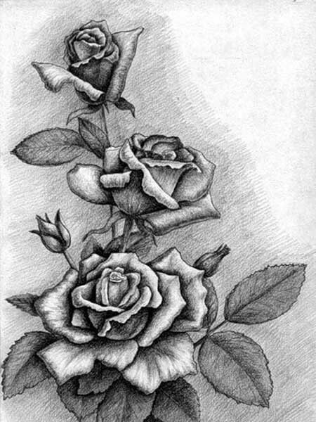 Realistic Flower Drawing, Pencil Drawing Inspiration, Rose Drawing Tattoo, Pencil Drawings Of Flowers, Rose Sketch, Draw Flowers, Realistic Pencil Drawings, Boho Art Drawings, Kerala Mural Painting