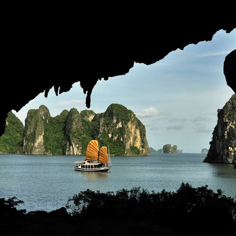 Lan Ha Bay | Cat Ba Island, Vietnam | Attractions - Lonely Planet Vietnam Islands, Vietnam Attractions, Bay Cat, Cat Ba Island, Kayak Trip, Halong Bay, Marine Animals, White Sand Beach, Lonely Planet